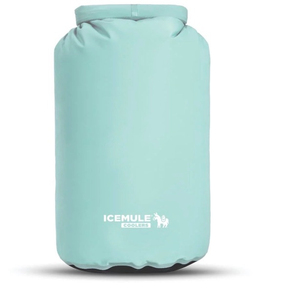 Mint Backpack - Picture 4 of 5